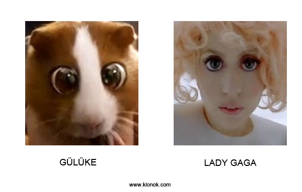 Gülüke - Lady Gaga
 
Gülüke - Lady Gaga