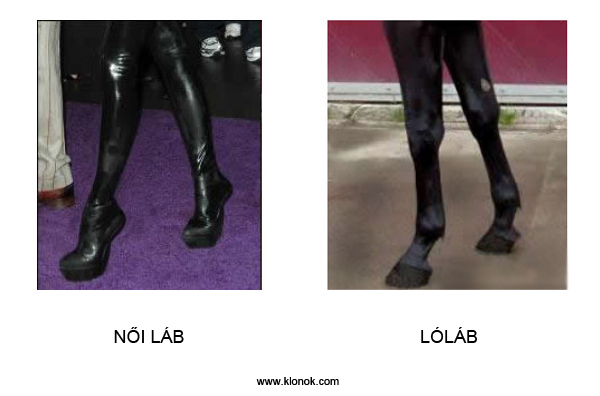 Lábak
 
N?i láb - Lóláb.