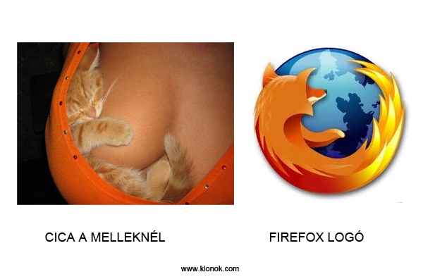 Cica a melleknél - Firefox
 
