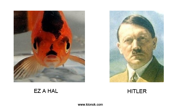 Hal - Hitler
 
