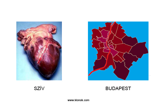 Szív - Budapest
 

