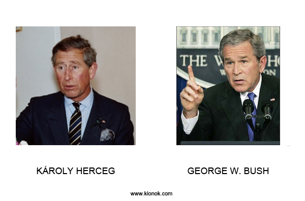 Károly - Bush
 
