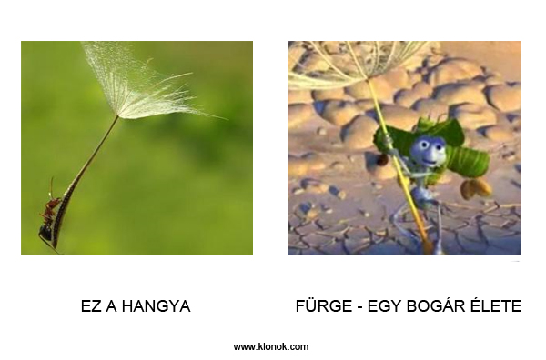 Hangya - Fürge
 
