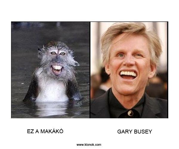Makákó - Gary Busey
 
