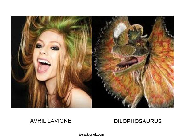 Avril Lavigne - Dilophosaurus
 
