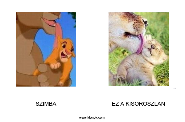 Szimba - Kisoroszlán
 
