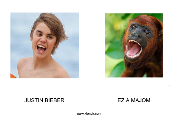 Justin Bieber - Majom
 
