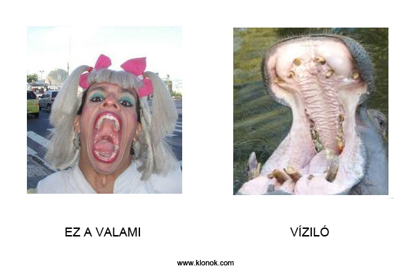 Valami - Víziló
 
