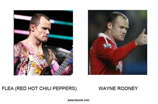 Flea - Rooney
 
