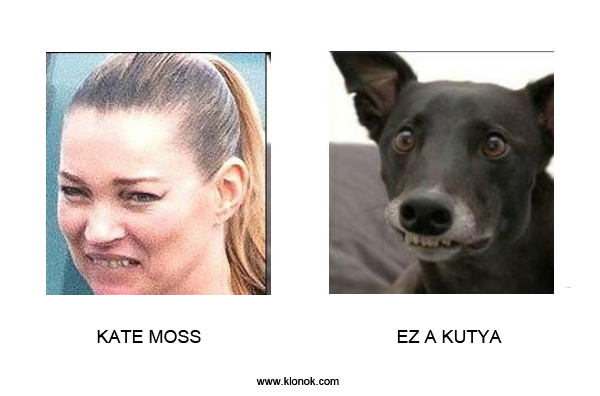 Kate Moss - Kutya
 
