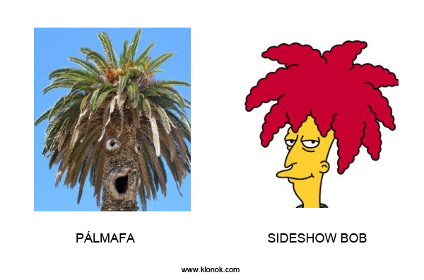 Pálmafa - Sideshow Bob
 
