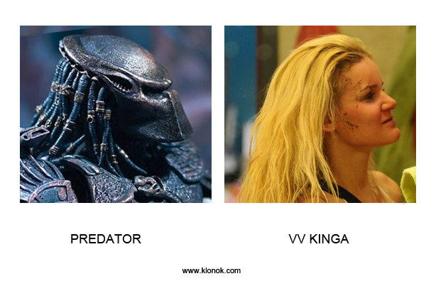 Predator - VV Kinga
 
